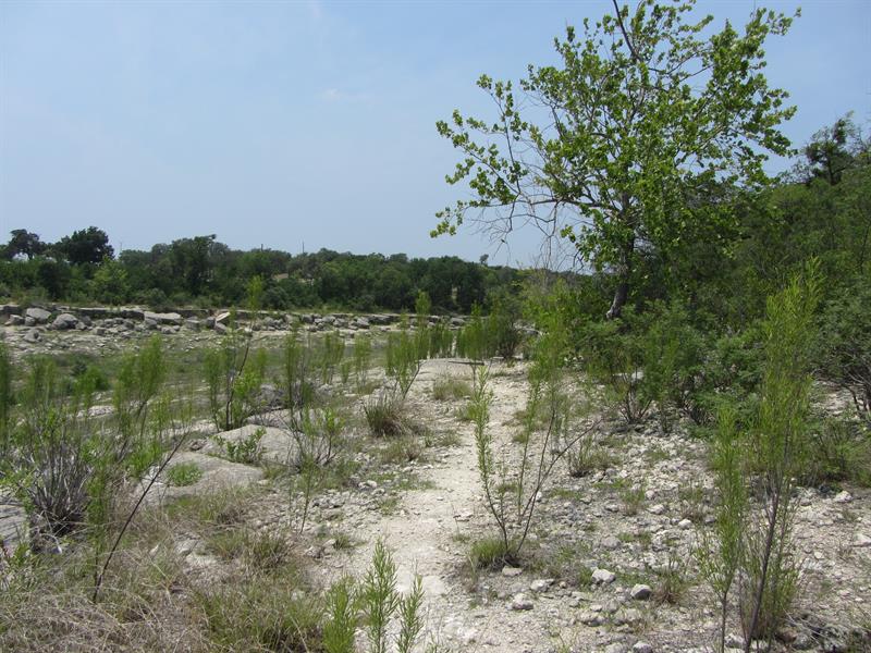 33497_1.jpg
