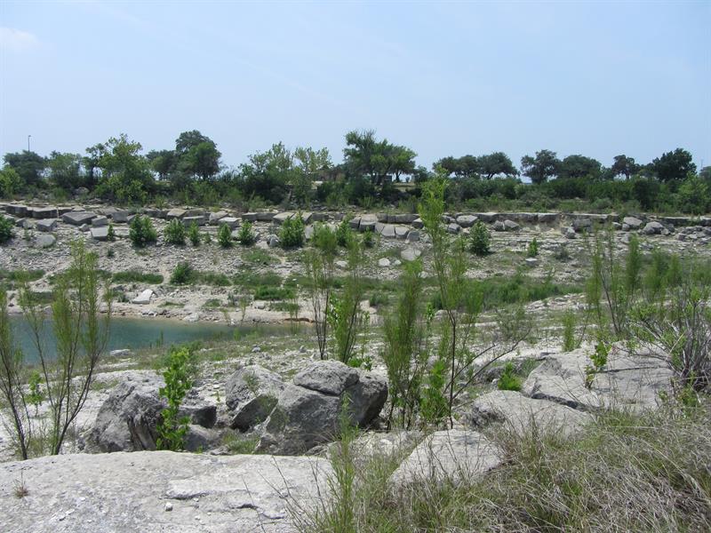 33497_2.jpg