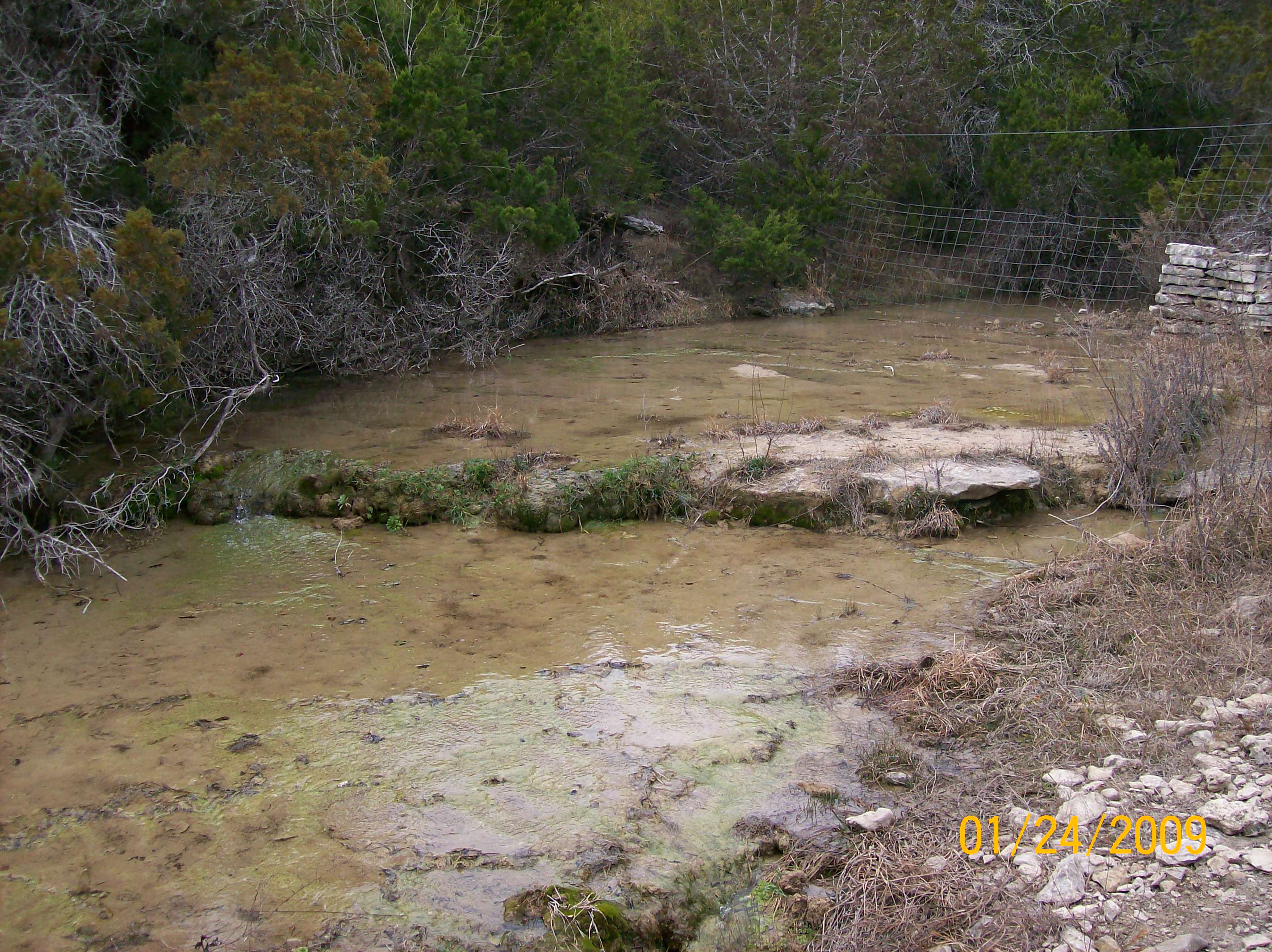 BearCreekatDavisRanch1-24-09.jpg